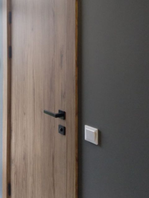 Ekofaneruotės vidaus durys ERIS