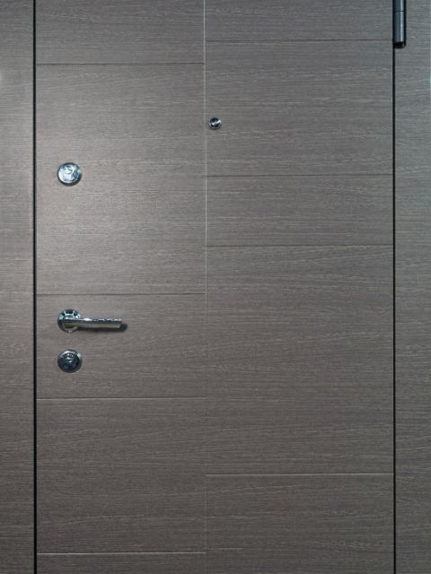 LAIPTINĖS DURYS HORIZONT STEEL MDF